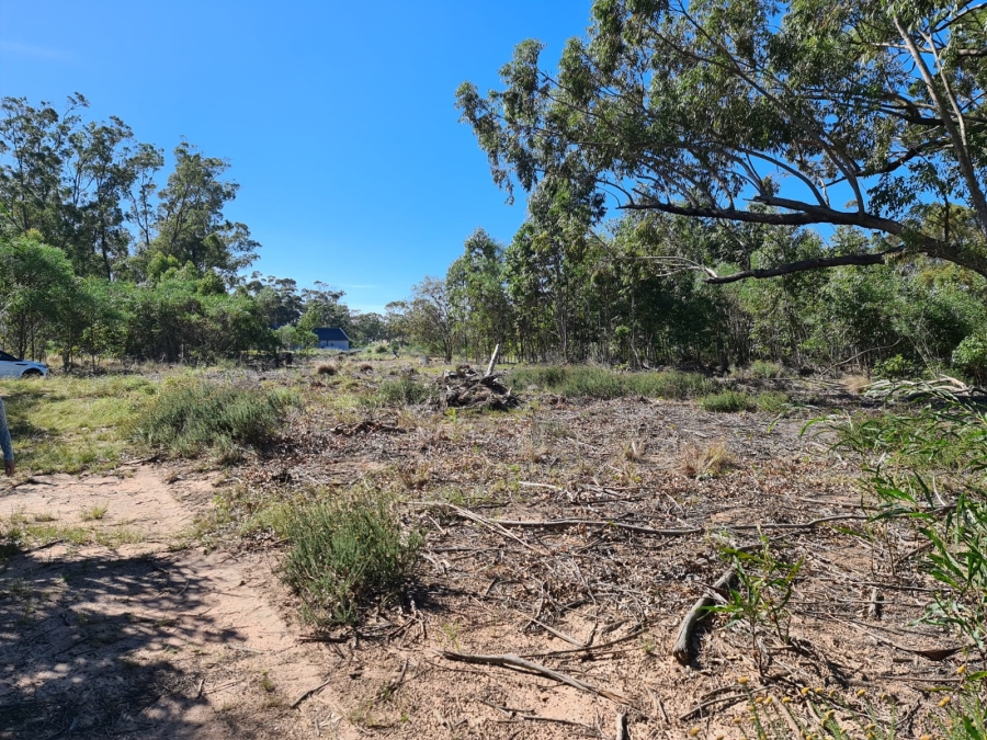 0 Bedroom Property for Sale in Wedgewood Golf Estate Eastern Cape